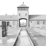 Ausstellung: "Der Blick dahinter" -   80 Jahre Befreiung des KZ Auschwitz